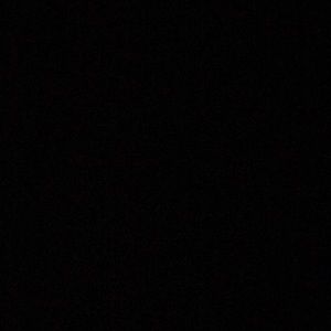 Meet your Posher, Leonardo